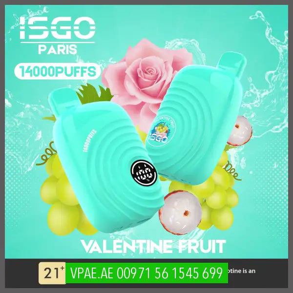 Isgo Paris 14000 Puffs Disposable Vape Disposable